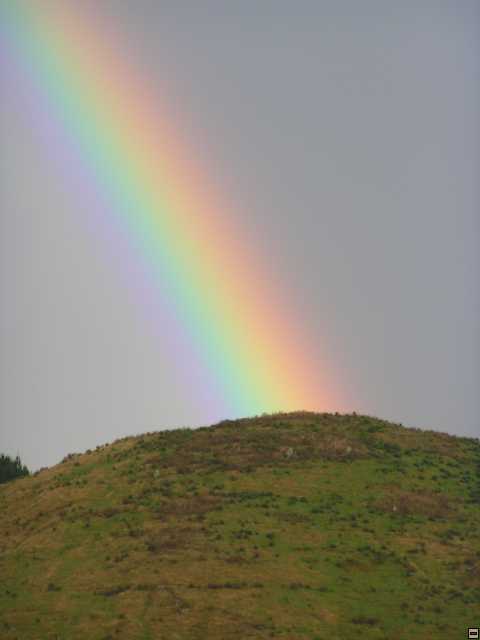 NZ leden-unor 2006 093.jpg